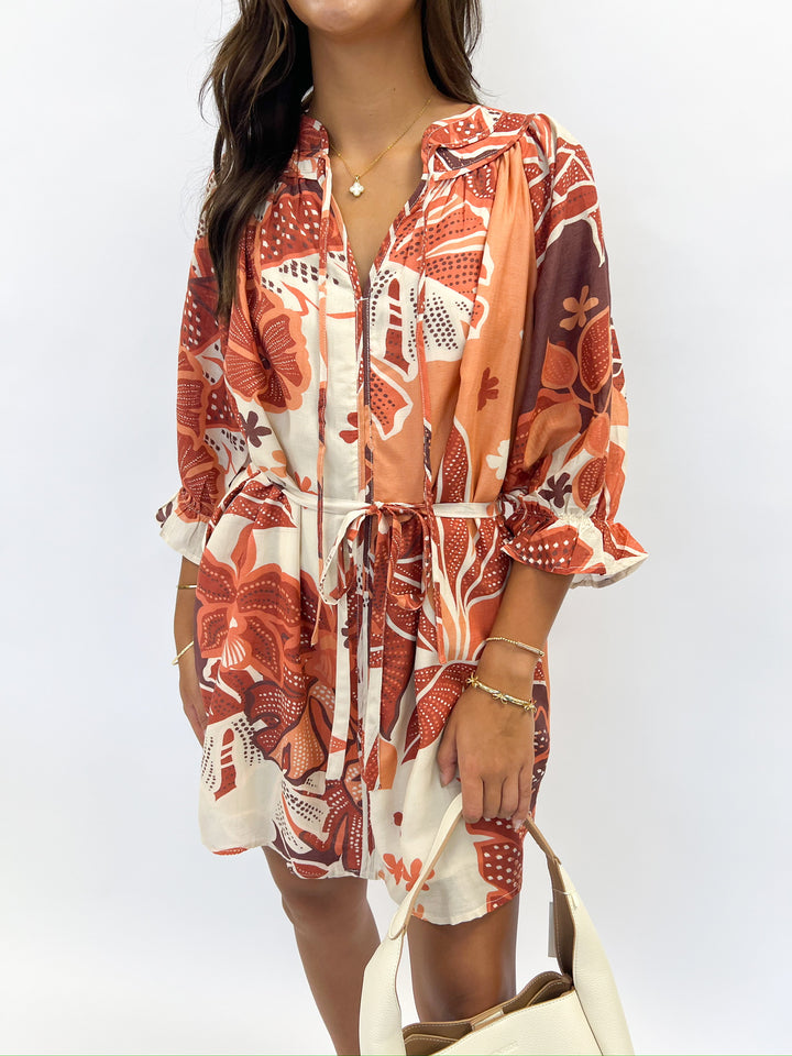 Brown Multi Mixed Printed Mini Dress
