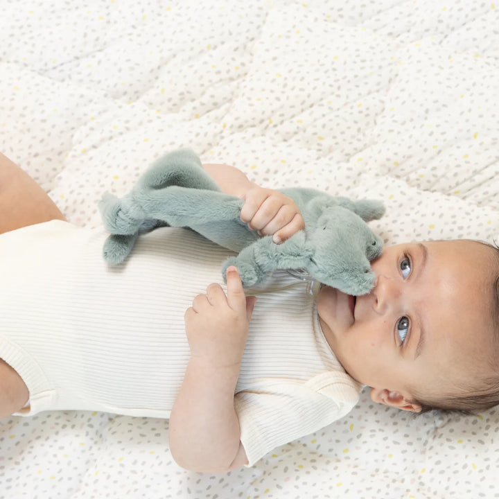 Pacifier Buddy Freddy the Frog