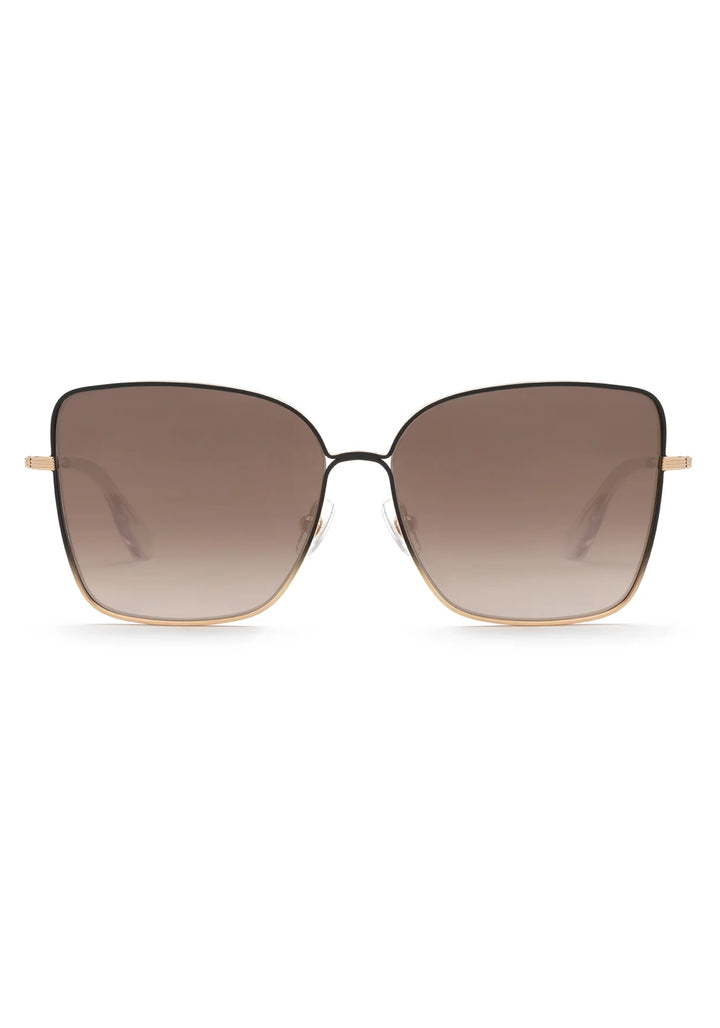 DOLLY | 24k + Sweet Tea Polarized