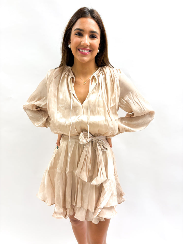 Champagne Organza Mini Dress