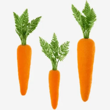 Flocked Orange Carrots